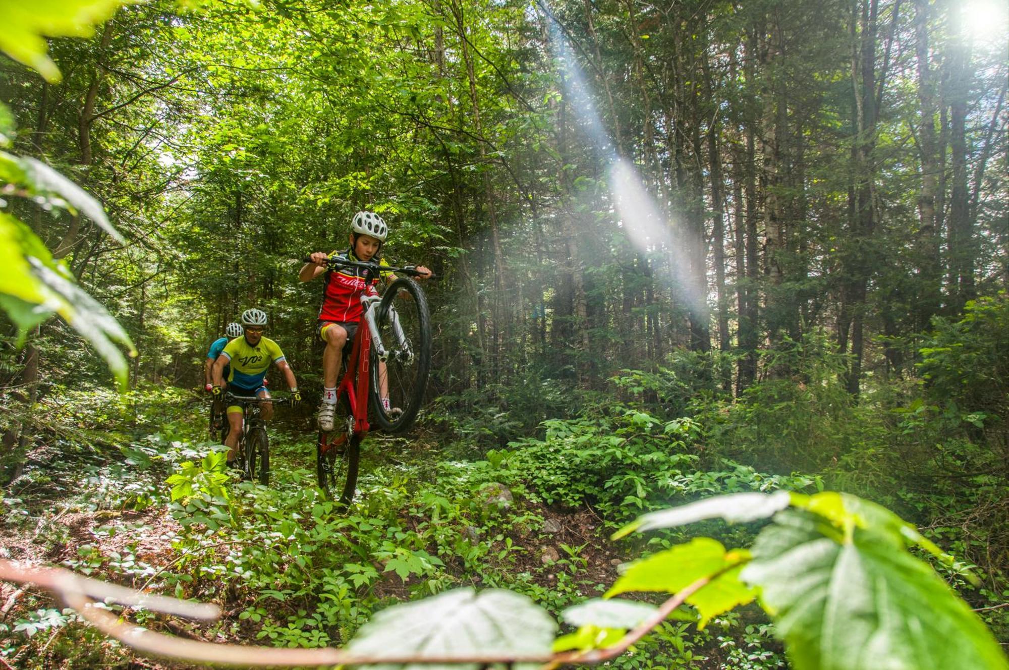 Imago Village Saint-David-de-Falardeau Buitenkant foto