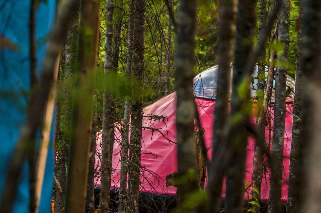 Imago Village Saint-David-de-Falardeau Buitenkant foto